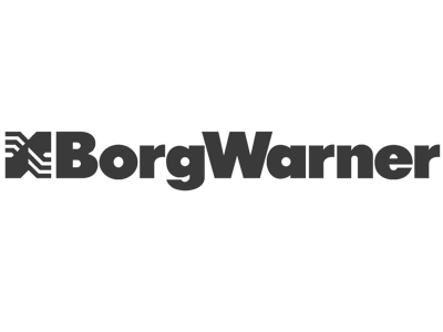 Borgwarner logo Borgwarner logo